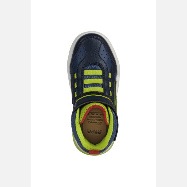 GEOX GRAYJAY J169YB Blinkesko Navy/Lime