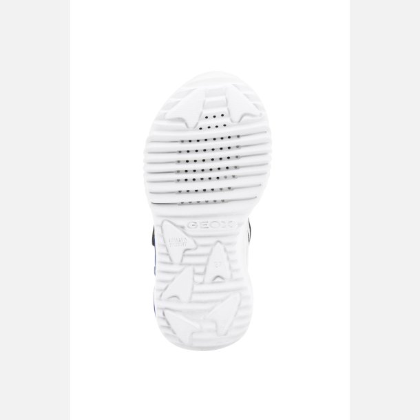 GEOX ASSISTER J16DZA Blinkesko Royal/White