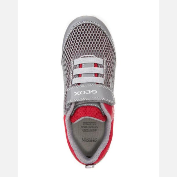 GEOX SVETH J826PB Blinkesko Grey/Red
