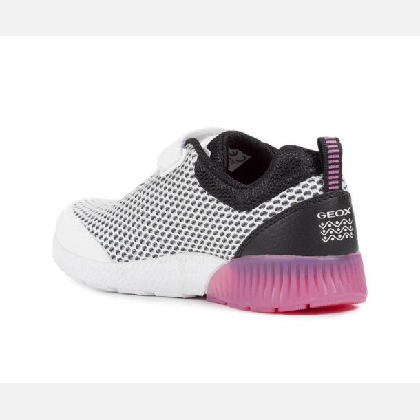GEOX SVETH J826VA Blinkesko White/Black