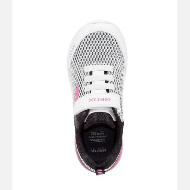 GEOX SVETH J826VA Blinkesko White/Black